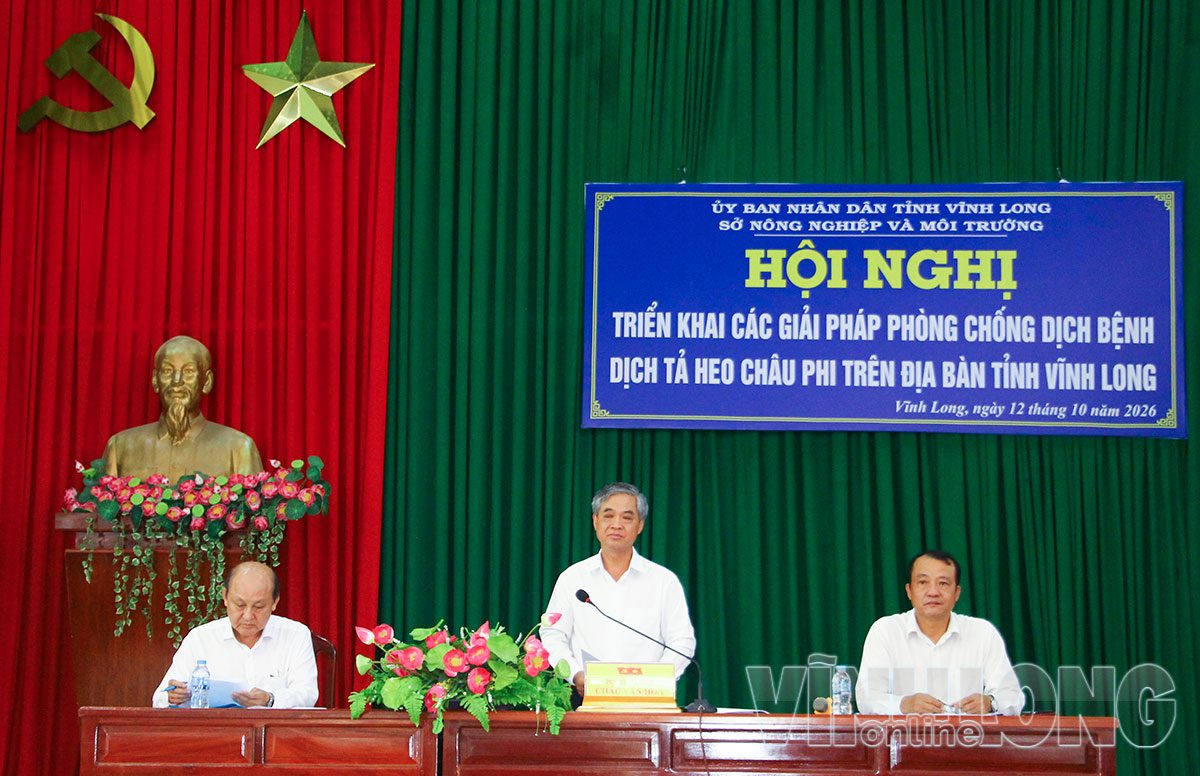 Đồng chí Châu Văn Hòa, Phó Chủ tịch UBND tỉnh, phát biểu chỉ đạo tại cuộc họp.