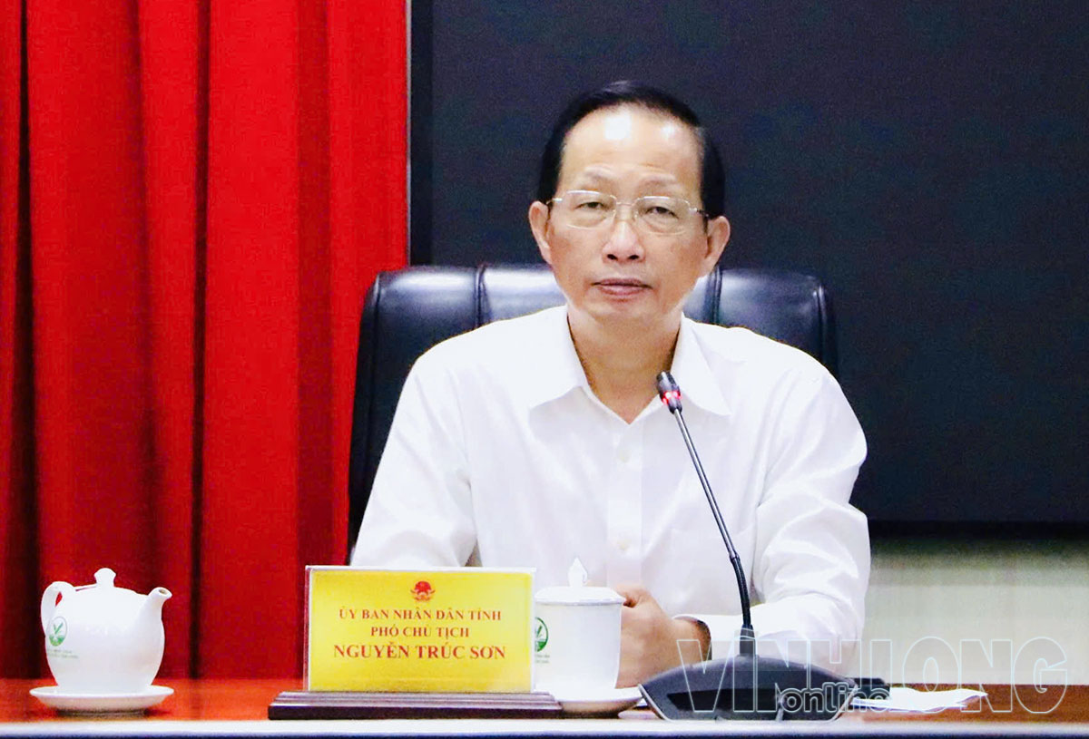 Đồng chí Nguyễn Trúc Sơn- Ủy viên Ban Thường vụ Tỉnh ủy, Phó Chủ tịch UBND tỉnh phát biểu chỉ đạo tại cuộc họp.