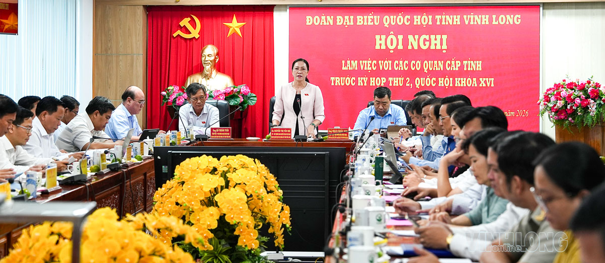 Đại biểu Nguyễn Thị Yến Nhi - Tỉnh ủy viên, Phó Trưởng Đoàn ĐBQH chuyên trách tỉnh phát biểu tại hội nghị.