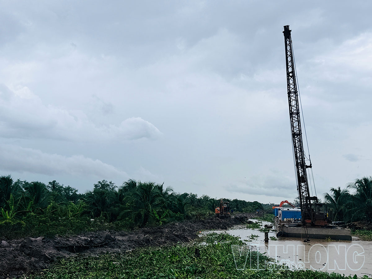 Sạt lở tại cồn Cái Gà gây ngập khoảng 23,86ha đất trồng cây ăn trái, cây giống và hoa kiểng, ảnh hưởng đến đời sống, sản xuất của người dân.