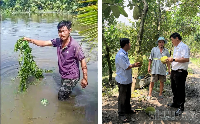 Hòa Hiệp đang khẩn trương khắc phục ngập úng tại cống Đồn 2