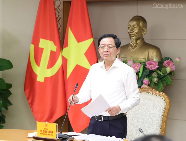 Phó Thủ tướng Hồ Quốc Dũng phát biểu kết luận cuộc họp - Ảnh: chinhphu.vn/Gia Huy

