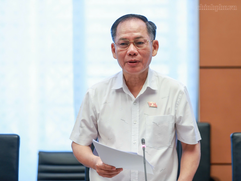 Đại biểu Trần Đình Gia (tỉnh Hà Tĩnh) nêu ý kiến - Ảnh: chinhphu.vn/Nhật Bắc