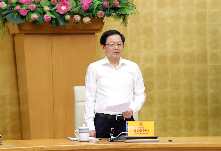Phó Thủ tướng Hồ Quốc Dũng phát biểu chỉ đạo hội nghị - Ảnh: chinhphu.vn/Gia Huy

