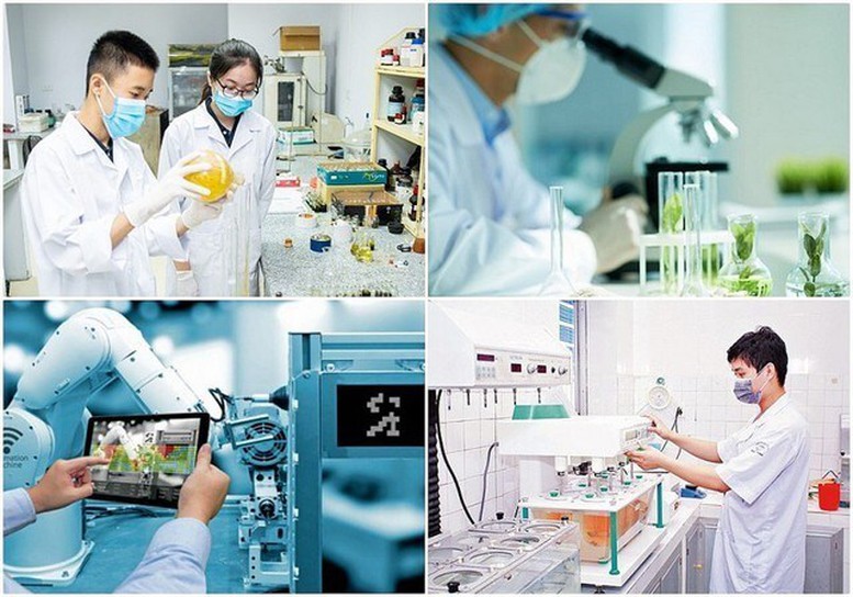 Cơ chế thu hút chuyên gia, tài năng trẻ trong hoạt động đổi mới sáng tạo

