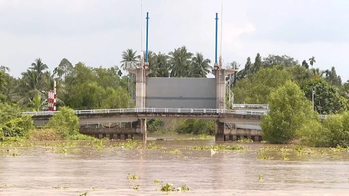 Người dân phấn khởi khi các công trình thủy lợi phục vụ tốt cho sản xuất