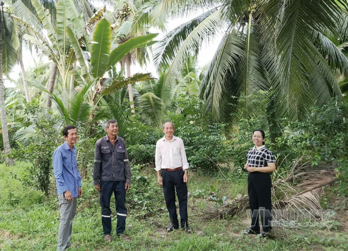 Từ nghị quyết đến giá trị trên từng vườn dừa