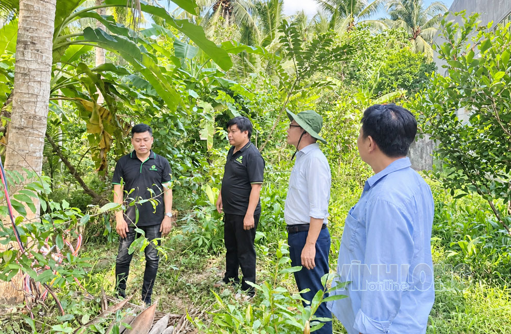Đồng chí Trần Dương Thuấn, Bí thư Đảng ủy, Chủ tịch HĐND xã trực tiếp trao đổi với người trồng dừa, HTX và Hội Nông dân tại vùng dừa hữu cơ.