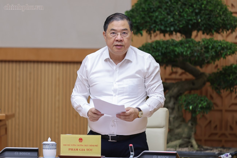 Phó Thủ tướng Thường trực Phạm Gia Túc phát biểu - Ảnh: chinhphu.vn/Nhật Bắc

