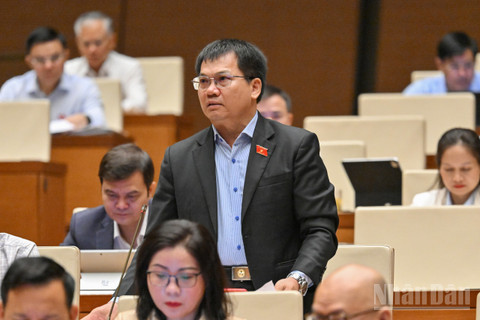 Đại biểu Dương Khắc Mai (Đoàn Lâm Đồng).