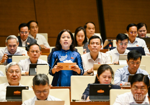 Đại biểu Quốc hội Lý Thị Lan (Đoàn Tuyên Quang). (Ảnh: DUY LINH)
