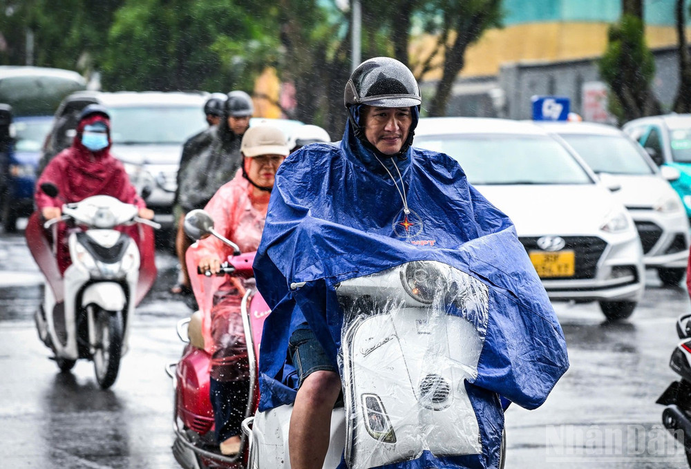 (Ảnh minh họa: THÀNH ĐẠT)
