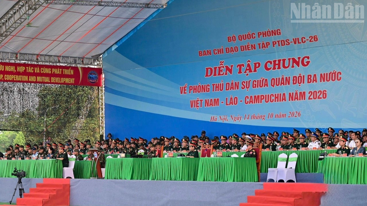Các đại biểu tham dự Diễn tập.

