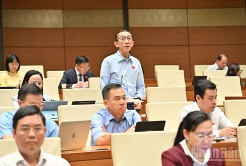 Đại biểu Trần Hoàng Ngân (Đoàn Thành phố Hồ Chí Minh) ủng hộ việc Nhà nước có chính sách hỗ trợ đầu tư phát triển hạ tầng thị trường chứng khoán.
