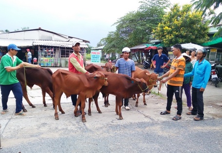 Các địa phương đã triển khai hiệu quả các chương trình, dự án, chính sách và công tác an sinh xã hội vùng đồng bào dân tộc thiểu số.