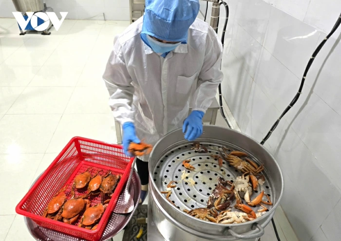 Ngành cua có tiềm năng lớn - Cà Mau có lợi thế dẫn đầu