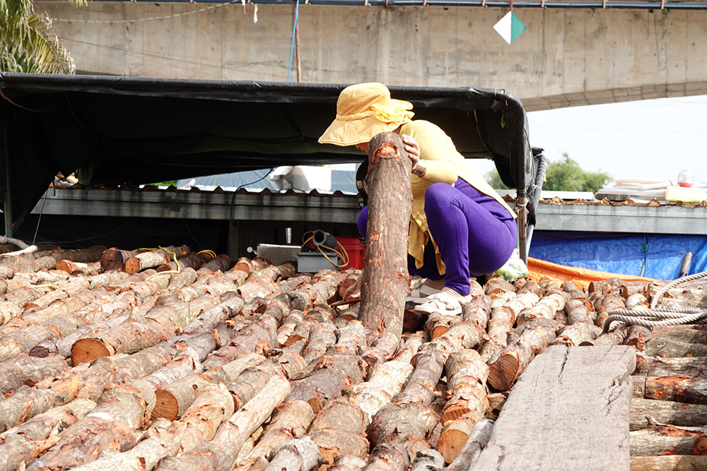 Một chủ ghe chất củi để bán. ẢNH: DUY TÂN