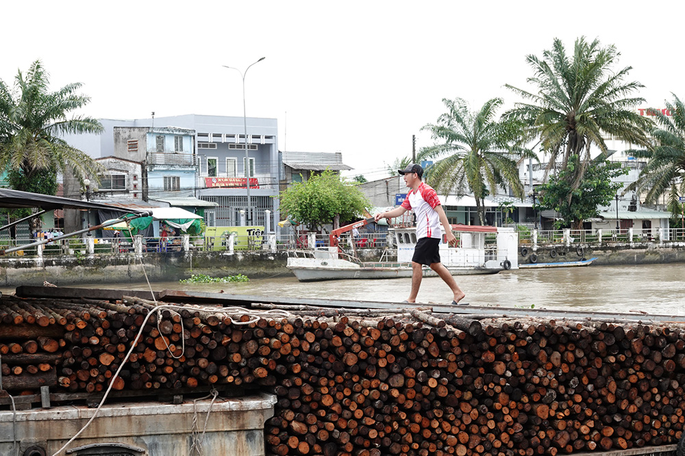 Một ghe củi vừa được bán cho lò hầm than. ẢNH: DUY TÂN