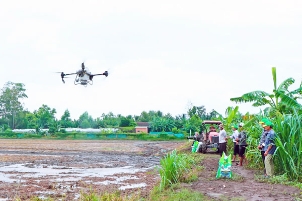 Nông dân sử dụng máy bay không người lái (drone) để phun thuốc bảo vệ thực vật, bón phân.