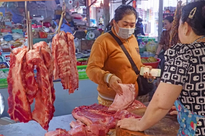 Chủ động phòng chống dịch tả heo châu Phi