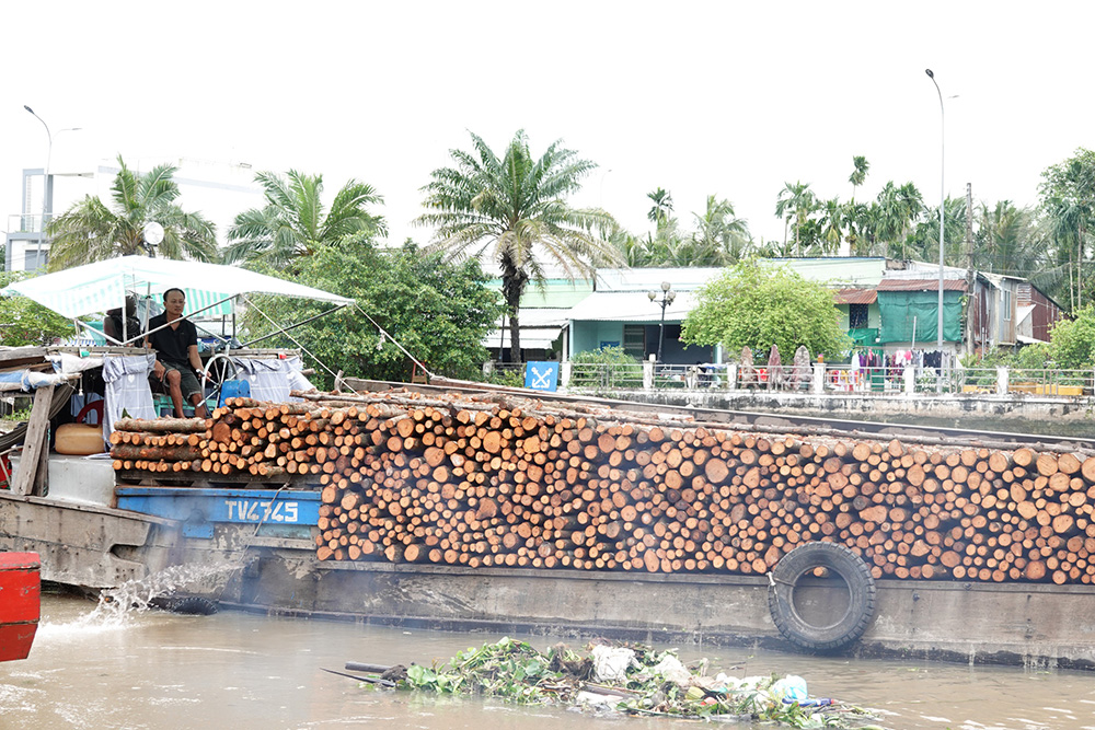 Một ghe xuất bến, chở củi đến bán cho lò hầm than. ẢNH: DUY TÂN