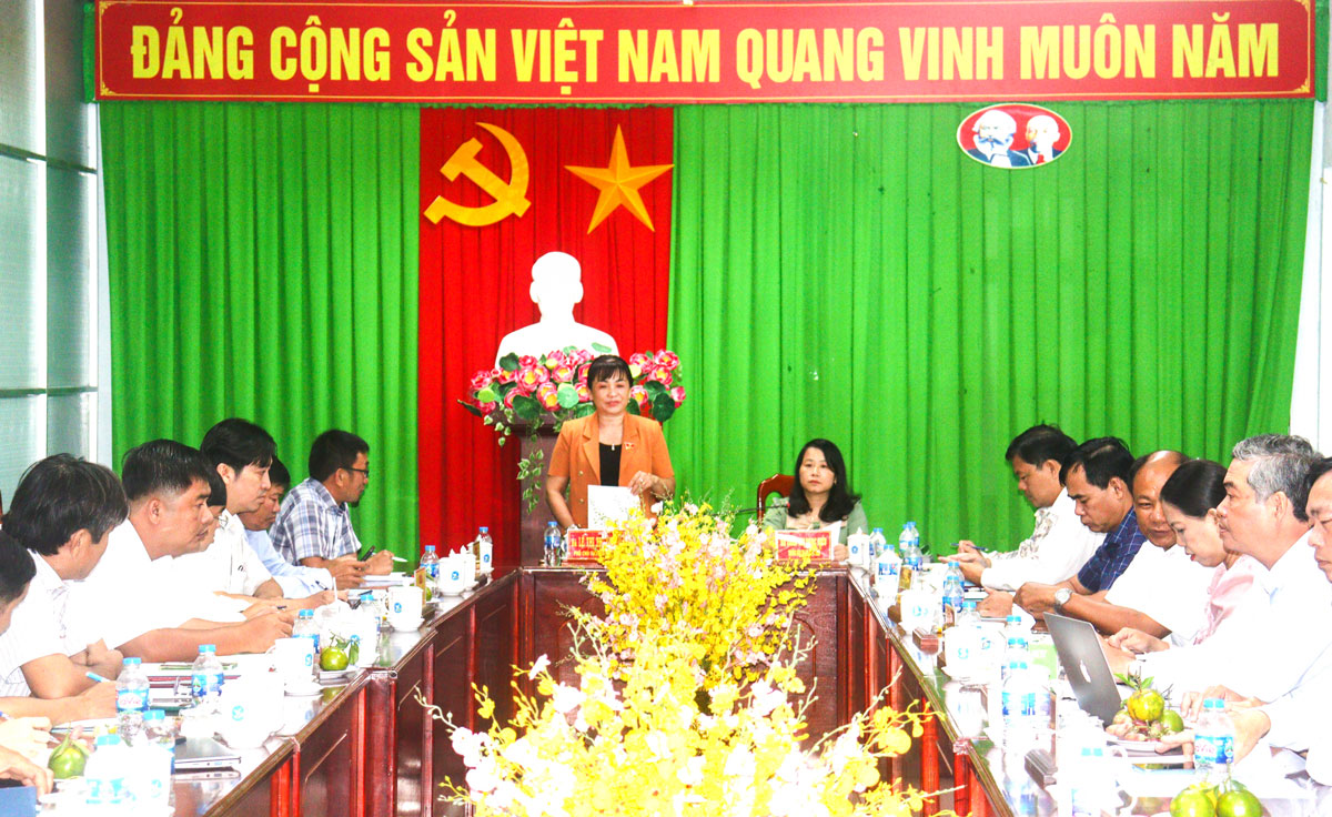 Phó Chủ tịch HĐND tỉnh- Lê Thị Thúy Kiều phát biểu tại buổi làm việc.