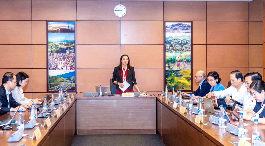 Phó Trưởng đoàn chuyên trách Đoàn Đại biểu Quốc hội đơn vị tỉnh Vĩnh Long- Nguyễn Thị Yến Nhi tham gia thảo luận.