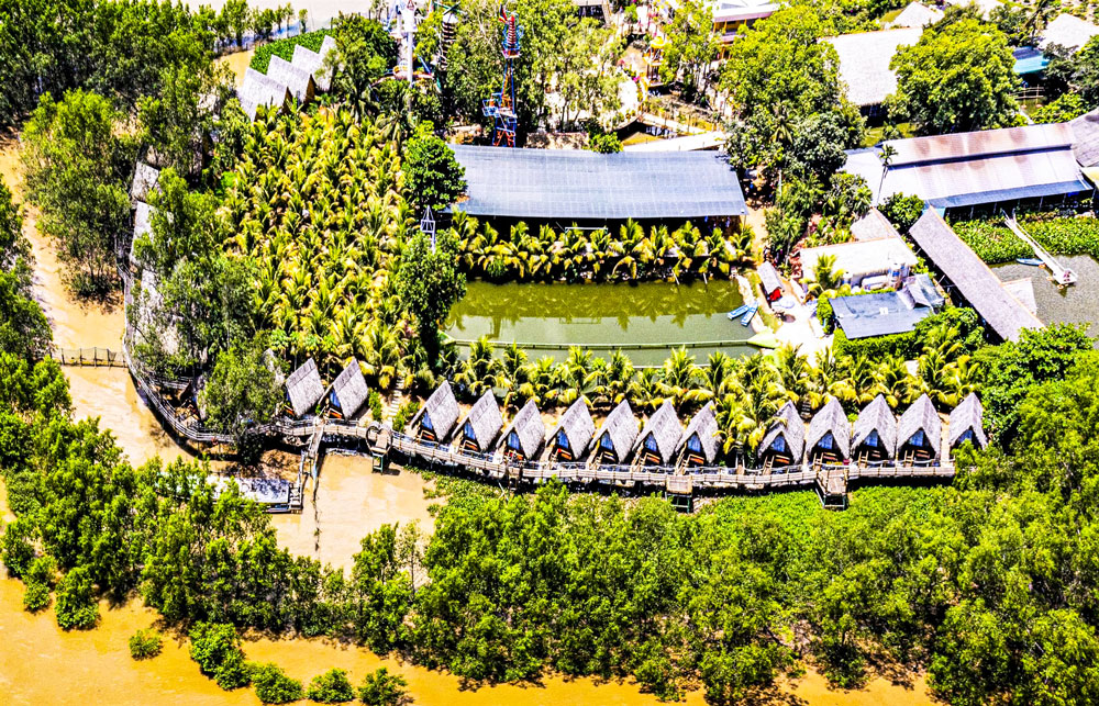 Nhu cầu tiêu thụ dừa tại các thị trường lớn như Trung Quốc, Hàn Quốc, Trung Đông vẫn duy trì mức cao; không có quốc gia nào công bố hạn chế nhập khẩu dừa Việt Nam (Ảnh minh họa: TRẦN THANH SANG).