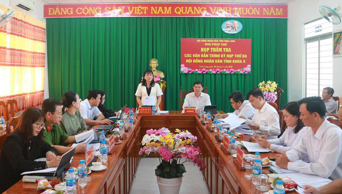 Phó Chủ tịch HĐND tỉnh- Lê Thị Thúy Kiều phát biểu một số vấn đề cần quan tâm. Ảnh: TUYẾT NGA