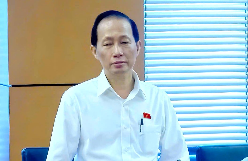 Đại biểu Nguyễn Trúc Sơn- Ủy viên Ban Thường vụ Tỉnh ủy, Phó Chủ tịch UBND tỉnh Vĩnh Long phát biểu tại tổ ngày 19/11.