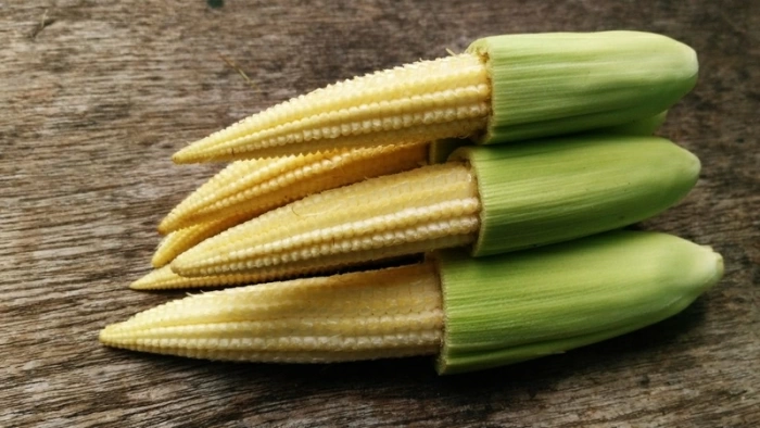 Bắp non: Món rau giòn ngọt, bổ dưỡng cho mọi gia đình