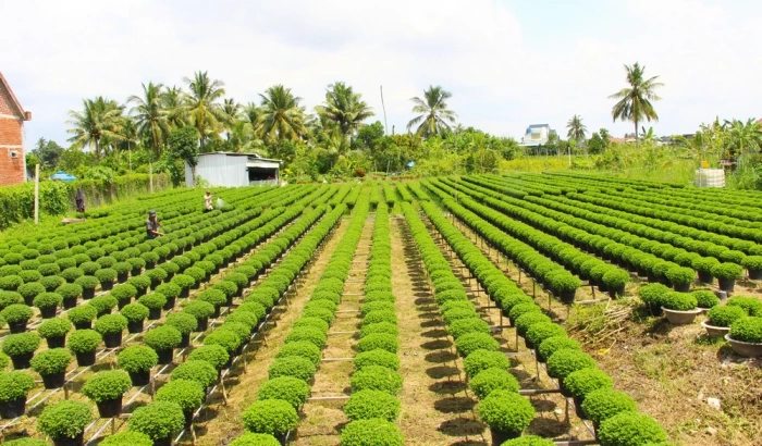 Cần triển khai đồng bộ một số nhóm giải pháp trọng tâm cho khu vực “tam nông”