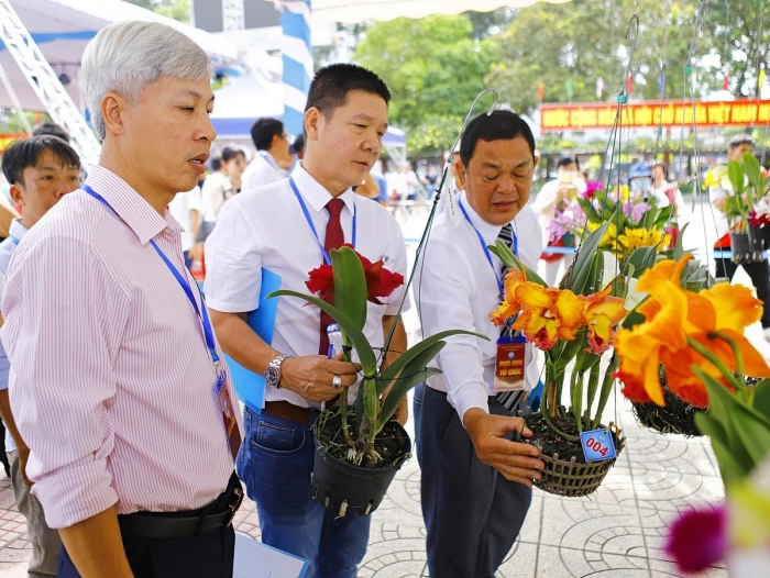 Hội thi trưng bày hoa phong lan và cây kiểng tỉnh năm 2025