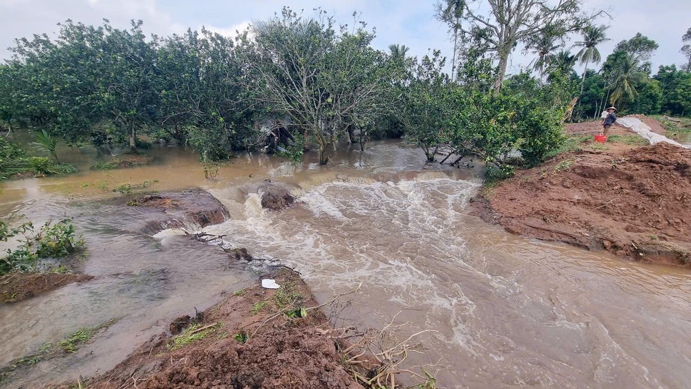 Điểm sạt lở trên cồn Thanh Long xảy ra ngày 23/10.