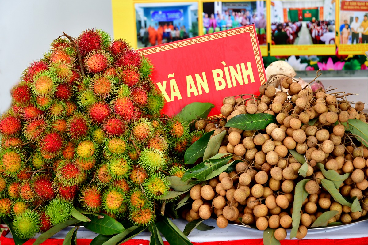 Các loại trái ngon của nông dân xã An Bình.