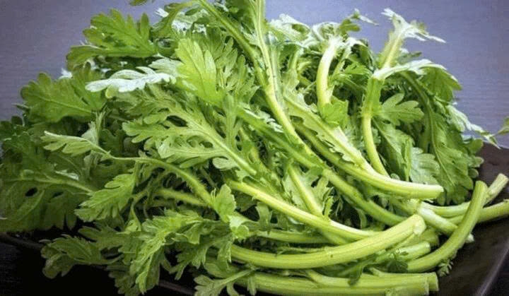 Nhờ tính lành và dễ chế biến, cải cúc phù hợp với mọi lứa tuổi. Không chỉ là thực phẩm giàu dinh dưỡng, loại rau này còn được xem là vị thuốc hỗ trợ điều trị nhiều bệnh
