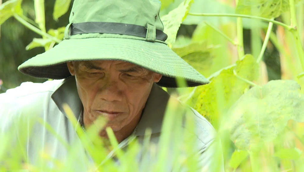 Ông Huỳnh Văn Kỳ vẫn miệt mài với những công việc thê mướn để lo lắng cho gia đình.