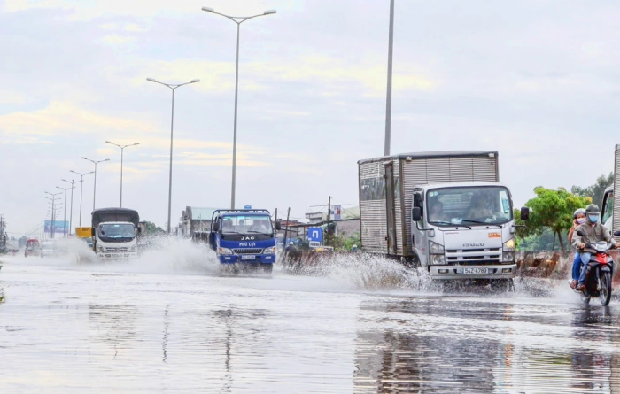 Thích ứng dựa vào hệ sinh thái tự nhiên để chống ngập