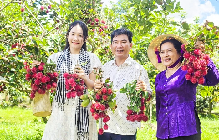 Trải nghiệm miệt vườn sông nước ở cù lao An Bình