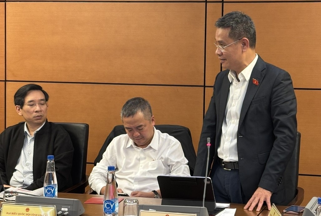 Đại biểu Đinh Ngọc Quý cho rằng ở phần xã hội nên bổ sung các điểm nhấn này thấy rõ bước tiến của đất nước trong lĩnh vực an sinh xã hội.
