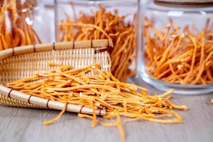 Đông trùng hạ thảo có nên uống thường xuyên?