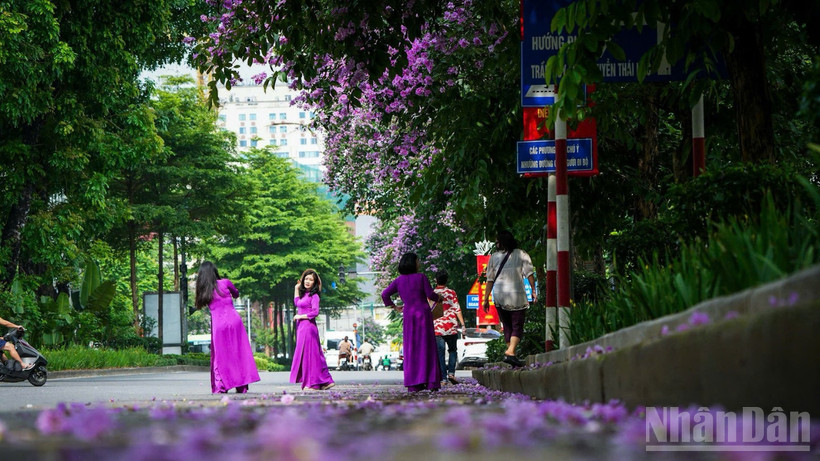 Một góc nhỏ ở Thủ đô Hà Nội. (Ảnh: THÀNH ĐẠT)