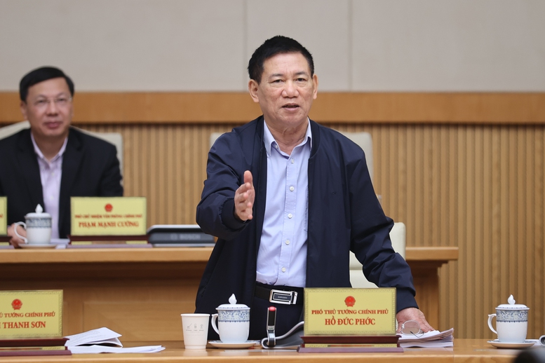 Phó Thủ tướng Hồ Đức Phớc phát biểu tại phiên họp - Ảnh: VGP/Nhật Bắc