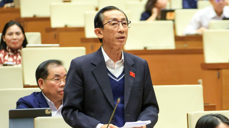 Đại biểu Trần Hoàng Ngân (Thành phố Hồ Chí Minh). (Ảnh: DUY LINH)