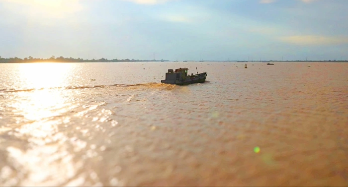 Khảo sát kỹ thuật Dự án Phát triển các hành lang đường thủy và logistics các tỉnh Vĩnh Long, Đồng Tháp, Tây Ninh và Đồng Nai