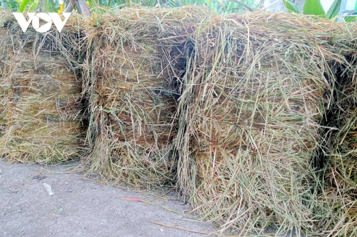 Nông nghiệp tuần hoàn bắt đầu lan tỏa từ những cánh đồng ở miền Tây