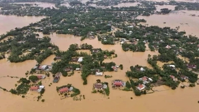 Bộ GD&ĐT sẽ cấp phát miễn phí toàn bộ sách giáo khoa cho học sinh vùng lũ