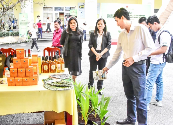 Tập trung 3 trụ cột phát triển ngành dừa