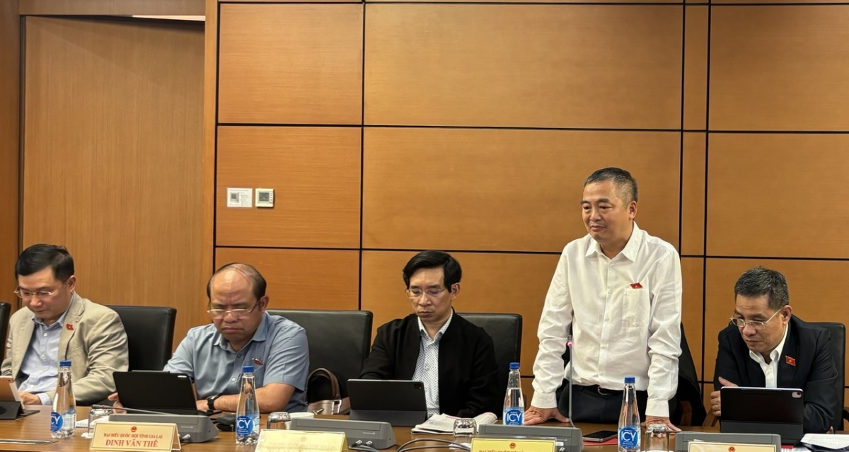 Đại biểu Nguyễn Lân Hiếu góp ý về vấn đề chăm sóc sức khỏe cho người dân.
