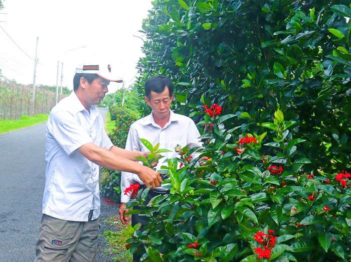 Nông dân An Bình xây dựng nông thôn ngày thêm đổi mới